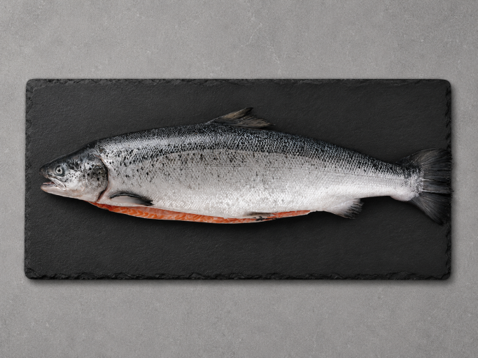 Ganzer frischer Lachs mit Kopf · Ganzer Lachs ausgenommen · Frischer ganzer Lachs für den Backofen · Ganzer Lachs zum Grillen · Ganzer frischer Lachs von Delishopper